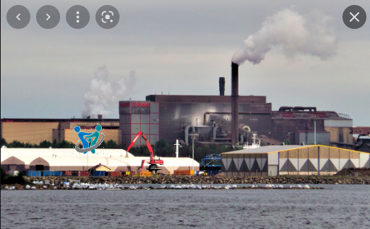 معلومات مهمة عن التلوث البيئي 3 معلومات مهمة عن التلوث البيئي